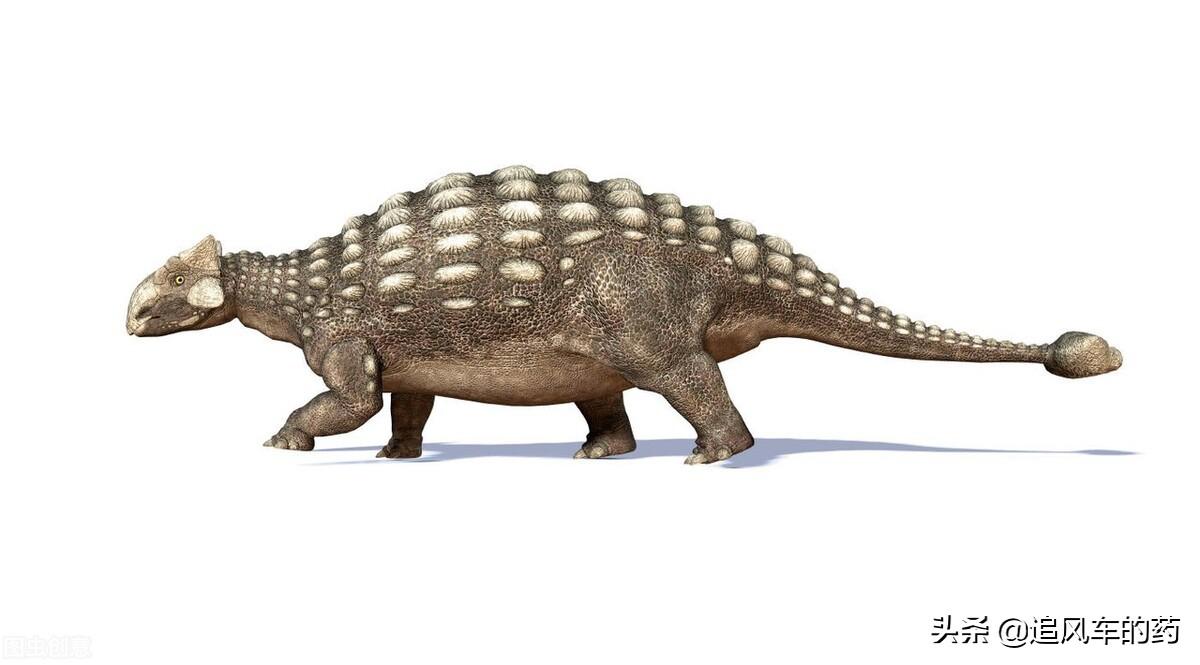 世界上最厉害的恐龙是什么恐龙，能杀死霸王龙的十种恐龙（世界五大恐龙之最）