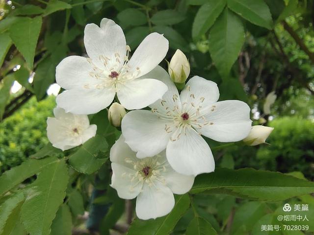 儿童读书日宣传语，幼儿园读书日宣传语（悦读“阅”美——罗圩中心小学小学2022年读书节倡议书）