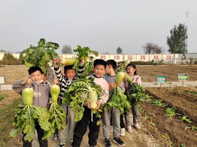 一年级小故事简短，一年级的简短小故事（劳动教育欢乐多——东风小学一年级一班拔萝卜劳动实践活动纪实）