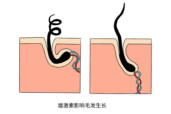 女人眉毛长得长好不好，女人眉毛长得长好不好看（是好事还是坏事）