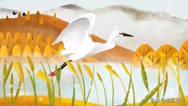 关于冬天的作文，关于冬天作文通用15篇（描写冬天的优秀作文）