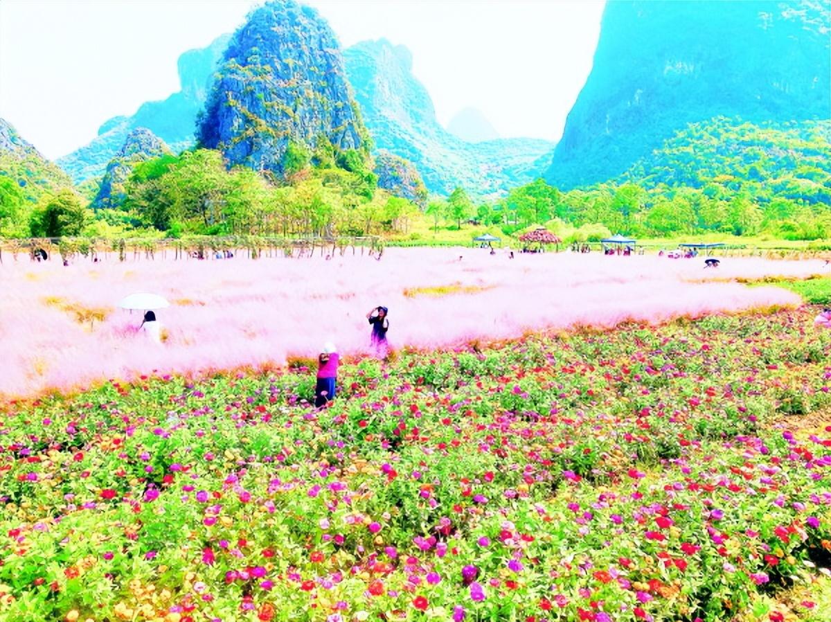 离我附近的景点(离我最近的景区有哪些地方)
