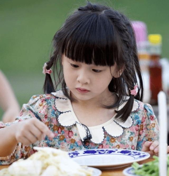 爸爸去哪儿第一季嘉宾名单爸爸去哪儿第一季嘉宾这12位女娃森蝶初长成