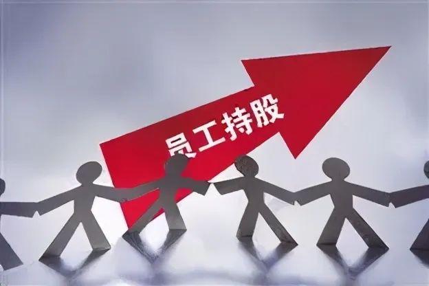 员工持股计划的利与弊（略谈员工持股计划的创业者风险）