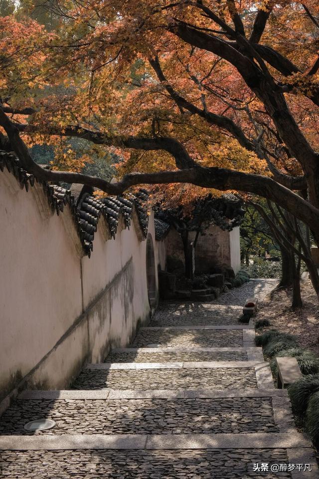 苏州虎丘景点介绍及游玩路线，苏州旅游景点虎丘地点（<江苏苏州5A景区>）