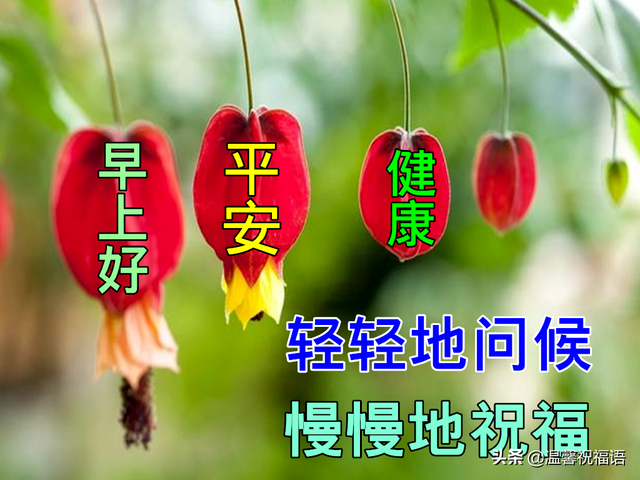 春天祝福信息，春天的祝福信息（4月25日最有创意的早上好图片带字带祝福语）