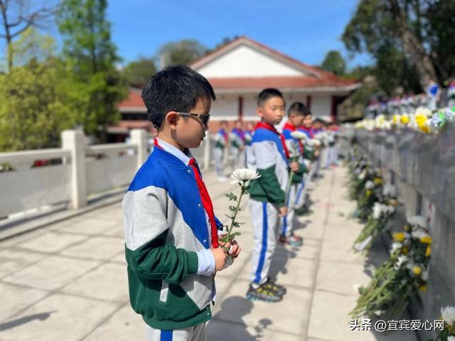南疆烈士陵园祭英烈，宜宾：清明时节祭英烈