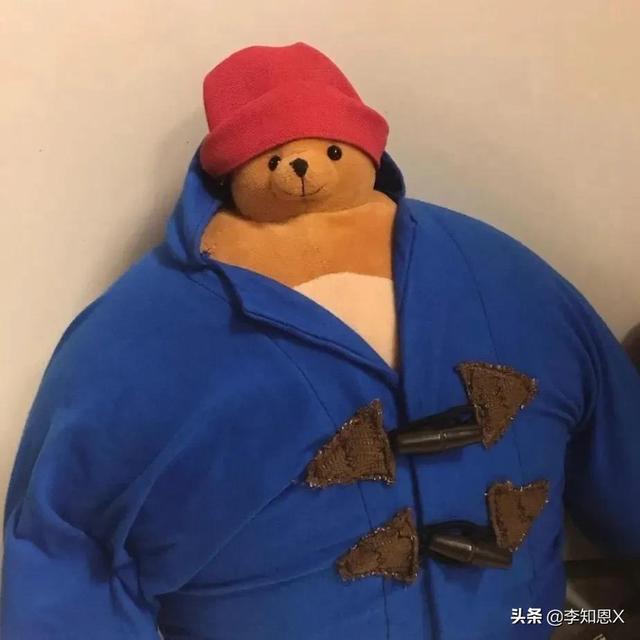 抱猫的女生头像，乔：可爱抱猫女头 人刚认识的时候总是拘谨中带着温柔微信（有趣可爱的情侣头像啊）