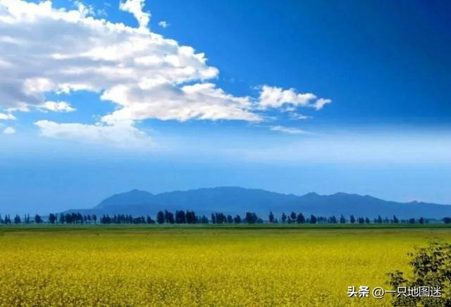 年轻的城是指现在的哪，这个年轻的城市啊（我国又诞生了一座新城市）