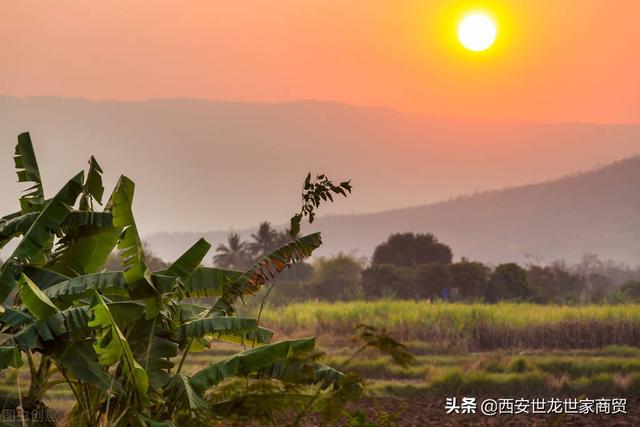 形容女子美貌的诗句，形容女子美貌气质的诗句古词（女神节那天读给你身边的女神吧）