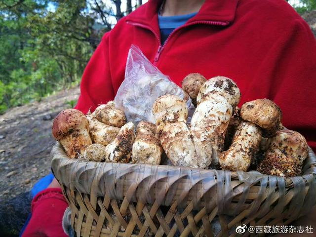 拉萨特产有哪些，西藏特产有哪些值得购买（让你不再空手而归）