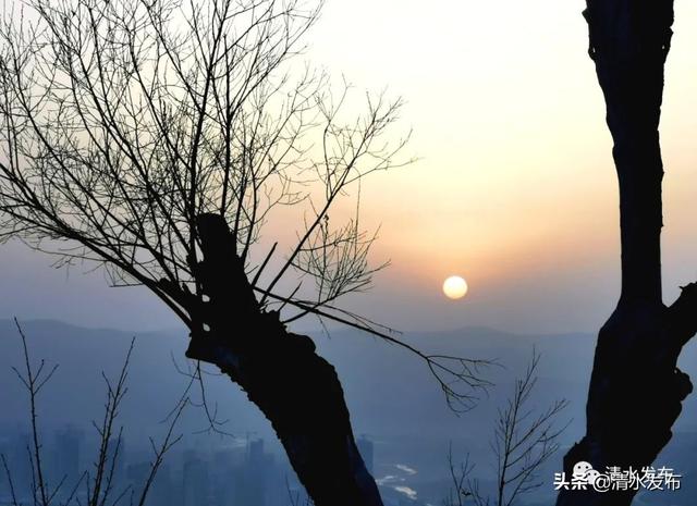 大地复苏是什么意思，春风渐暖，大地复苏