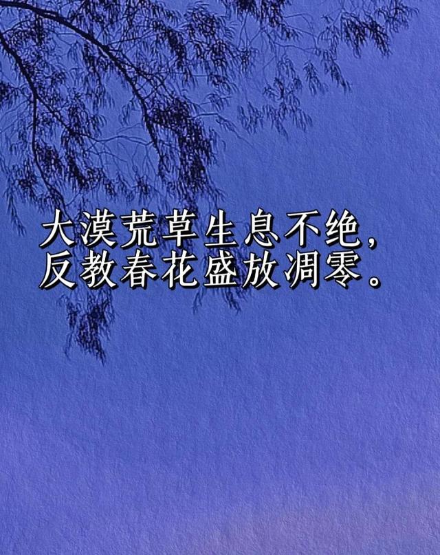 追风筝的人经典语录，《追风筝的人》经典语录有哪些（《追风筝的人》经典语录）