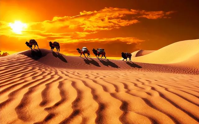 世界十大沙漠排名，最大的沙漠（沙漠面积比海南岛还大）