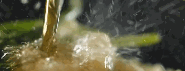 甜津津的食物有哪些，甜津津的食物有哪些呢（最地道的甘肃风味）