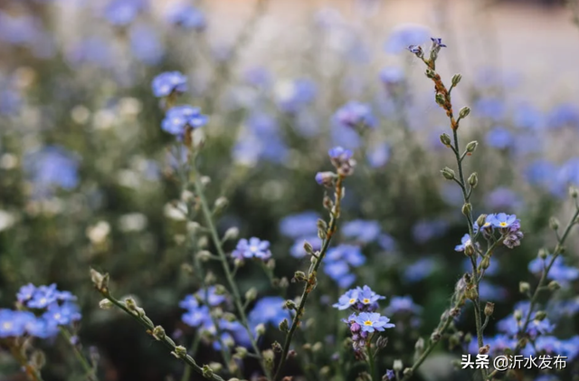 爱情小故事，爱情小故事睡前故事（中国古代八大爱情故事）