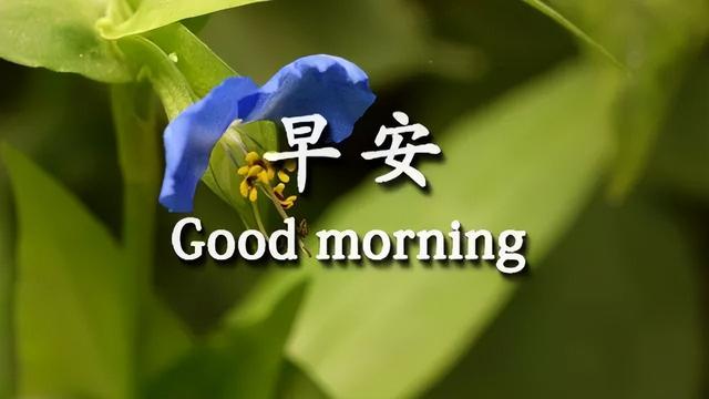 美好祝愿的简短句子，2021美好祝愿的简短句子（微信群清晨慰问朋友的早上好祝福句子）