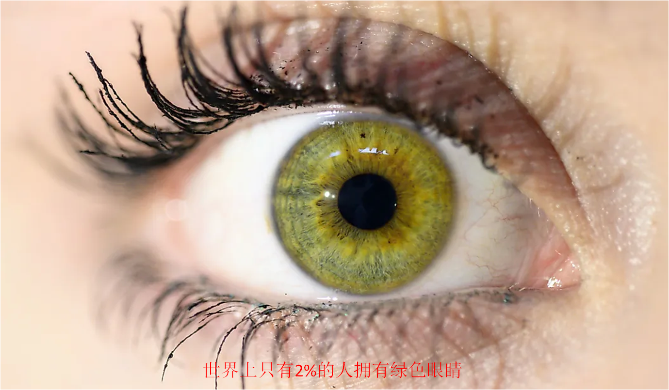 什么颜色对眼睛好，哪些颜色对眼睛好（各种眼睛颜色的人口比例是多少）