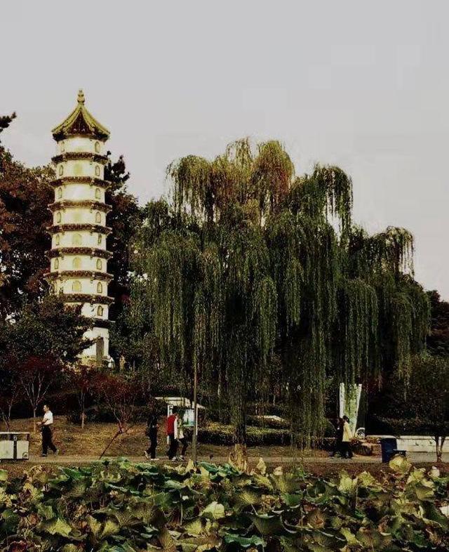 玄武湖导游词，玄武湖导游词简短（玄武湖曾消失200多年）