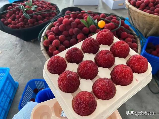 杨梅用洗嘛，杨梅用不用洗（别只会用盐水泡）
