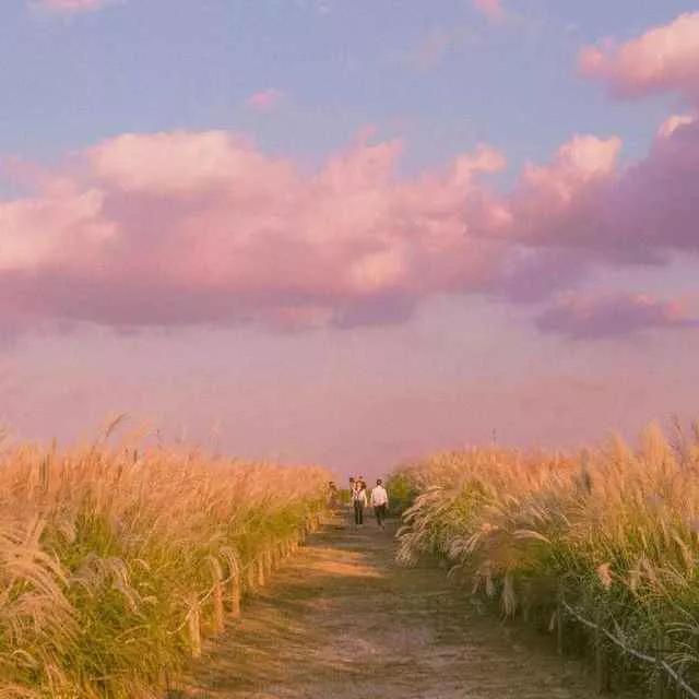 唯美英文名网名，唯美的网名英语（有着特殊寓意的英文网名）