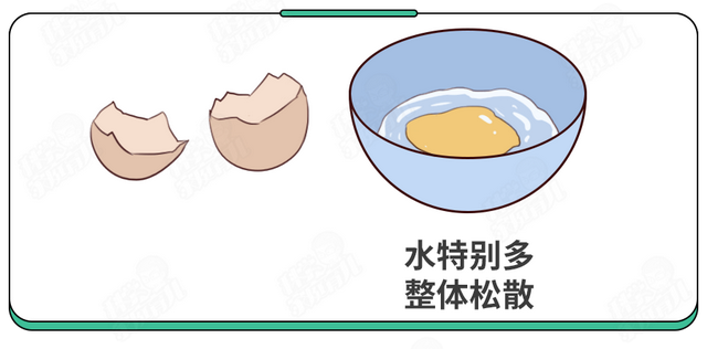刚孵出来的小鸡怎么养，刚孵化的小鸡怎么养（抽检出抗生素超标）