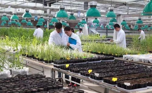 植物保护专业就业前景，植物保护专业就业前景与就业方向（看似冷门的农学专业）