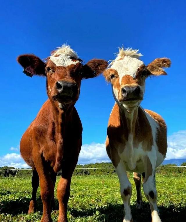 “我有点不开心，微信头像，“我有点不开心，不只一次，不只今天，不只是你”丧系女生头像（所有的不开心就止步于此吧）