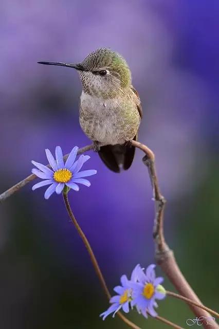 孤独伤感系的文字图片 要明白 孤独才是生活的常态，孤独的图片女生 伤感（品味孤独，孤独也是一种美）