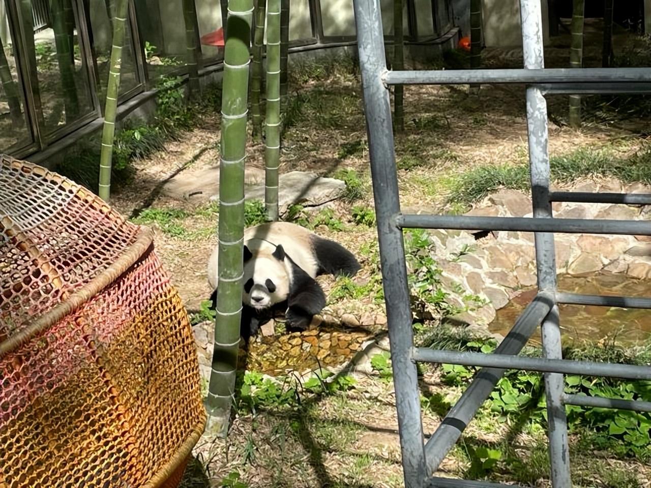 常州盐湖城旅游景点介绍，江苏常州最值得去的十三个景点