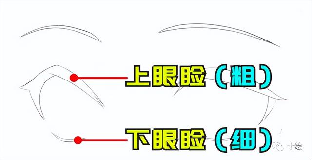 眼睛怎么画简单又漂亮，简单又美丽的眼睛怎么画（新手怎么画眼睛？眼睛绘画教程）