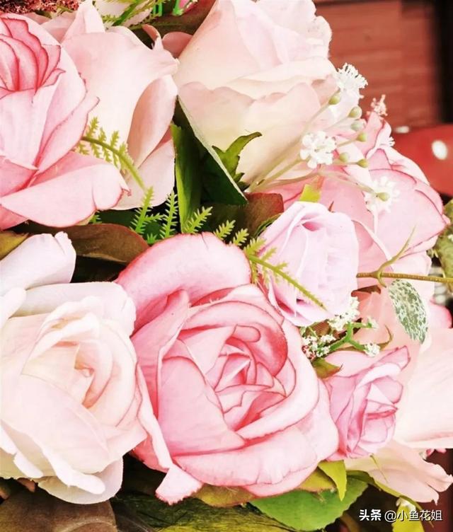 母亲节送什么花，母亲节送什么花最适合（能送给母亲的花不只是康乃馨）