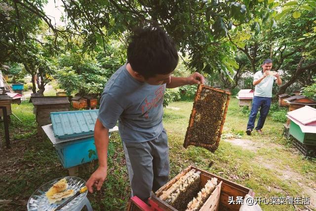 土特产店名，土特产店名一般叫什么（偶遇广东揭西县两位牛人）