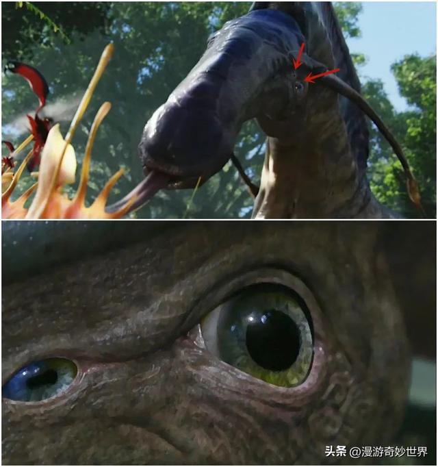 美国国旗上有多少颗星星，美国国旗有多少颗星星（还有这么多你不知道的细节…）