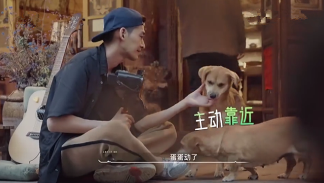 向往的生活什么时候更新，向往的生活周几几点播（我要吹爆芒果这档实验生活综艺）