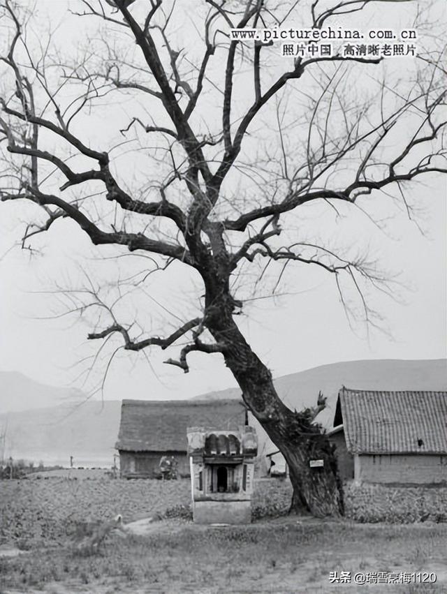 土地庙对联加横批7字，土地庙宇对联七字（旧时的土地庙及其对联）