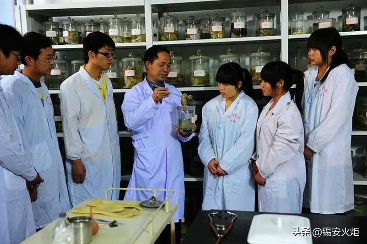 考研专业重要还是学校重要（研究生在校数量大于本科在校数量）