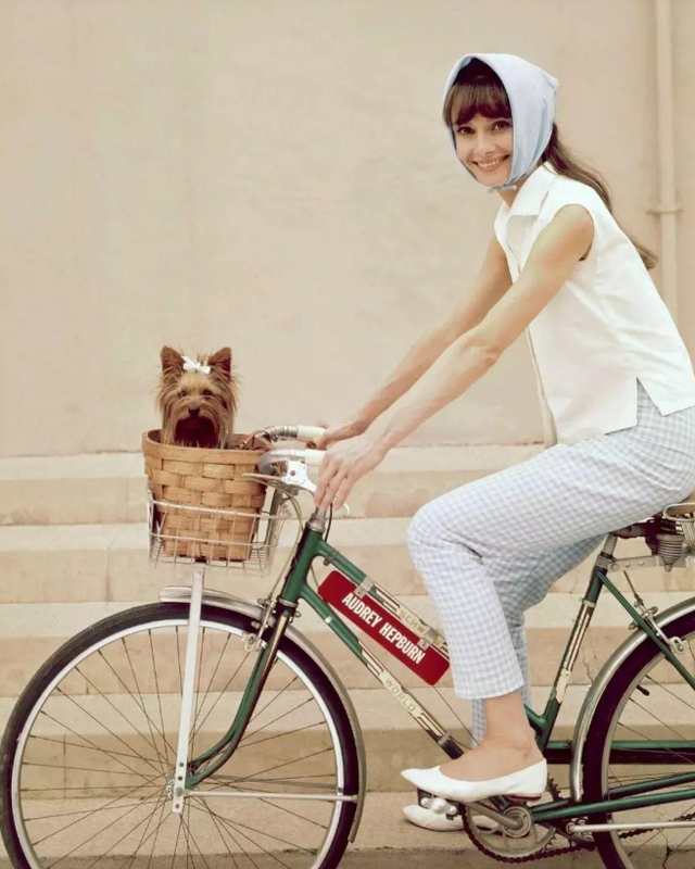 胖女人夏天穿什么衣服最好看，夏天胖人穿什么衣服好看（今夏“赫本衫”很流行）