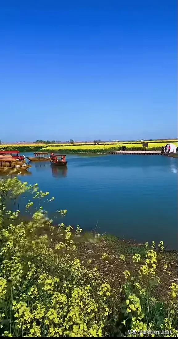 适合做微信头像的花朵图片，微信头像风景花朵图片     春暖花开（春暖花开的季节，美如仙境）