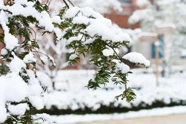 关于冰雪的诗句，有哪些描写冰雪的诗句（10首冬雪诗词）