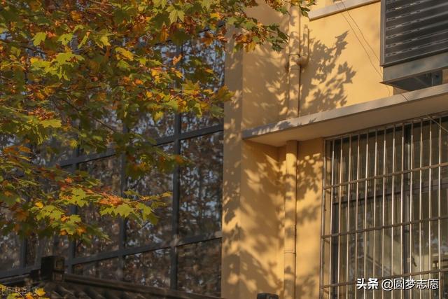 扬州大学排名2021最新排名，2021扬州大学排名（江苏大学、扬州大学：怎么选）