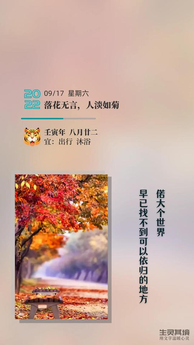 女人感慨岁月的句子，30岁女人感慨岁月的句子（岁月静好；你若不来）