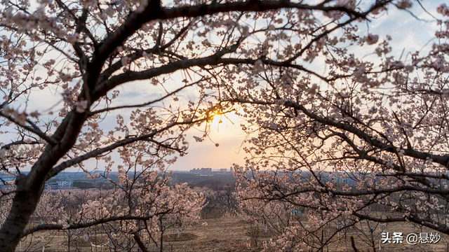 郑州有什么好玩的地方，古城郑州有什么好玩的地方啊（你知道郑州有哪些令人流连忘返的八大景区嘛）