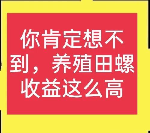 田螺人工养殖技术及注意事项，田螺人工养殖技术及注意事项有哪些（田螺养殖亩产能2-4万元是真的吗）