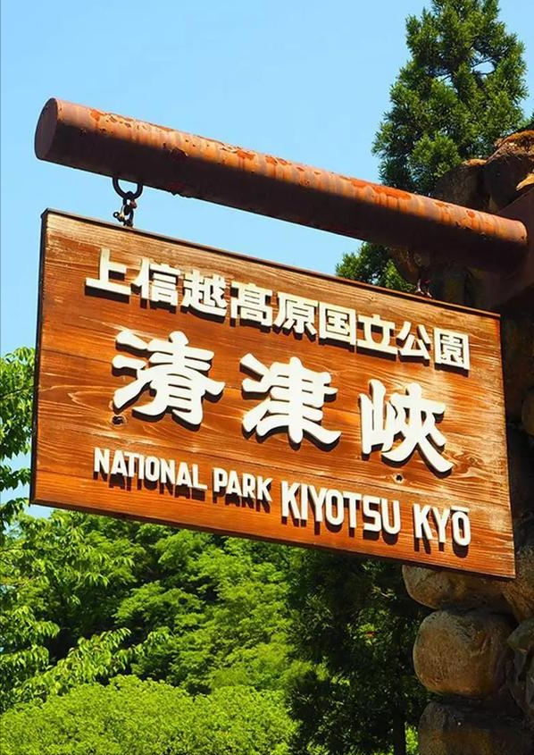 去日本旅游，去日本旅游需要什么手续和证件（日本最值得去的7个小众旅游地）