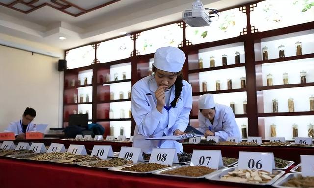 黑龙江中医药大学排名，2021黑龙江中医药大学排名（2022中医药大学排行榜）