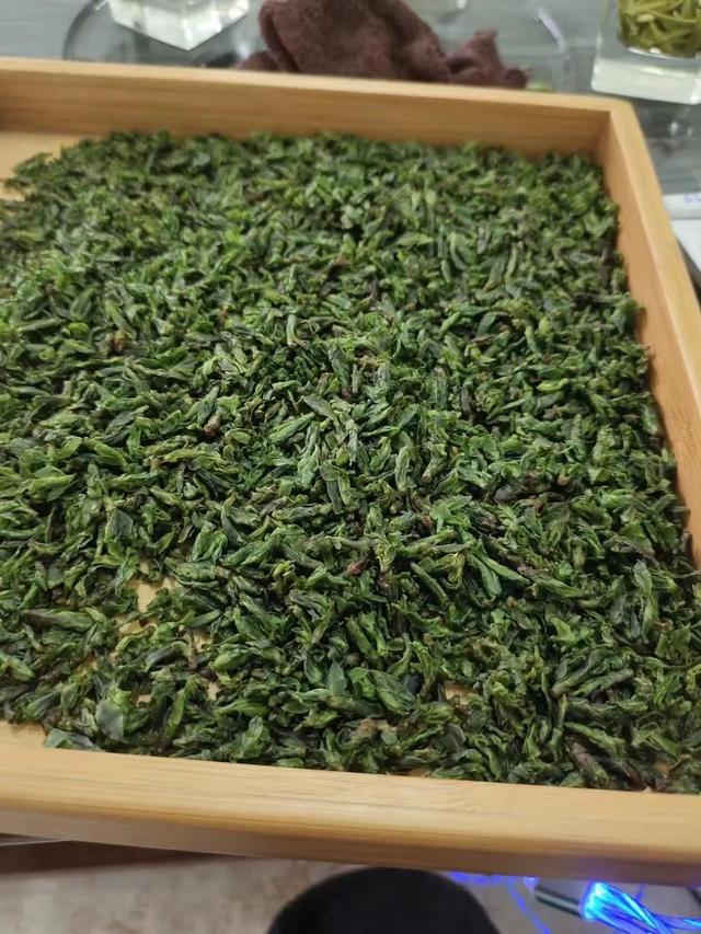 青山绿水茶的功效与作用，2023年新茶春茶