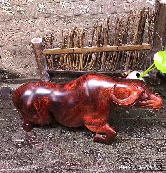 紫油梨和黄花梨的区别，紫油梨和黄花梨的区别图片（你知道缅甸黄花梨、老挝黄花梨、印度紫花梨吗）