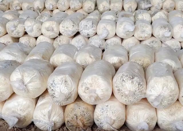 玉米芯有什么用途，玉米芯可作饲料预混料（不少人去农村收购）