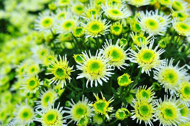 思念变成海网名，思念变成海喜欢汇成河微信昵称（是我一生的想念）